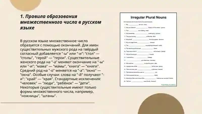 Правила образования множественного числа в русском языке 3