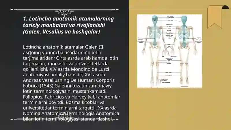 Anatomik Atamalar va Klinik Atamashunoslik 3