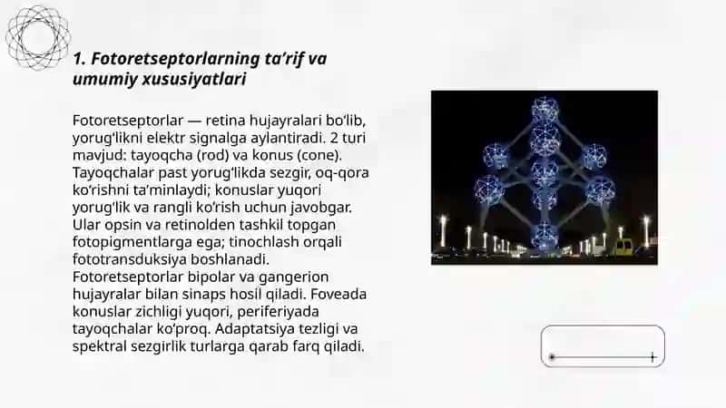 Fotoretseptorlar, haqida maʼlumot 3