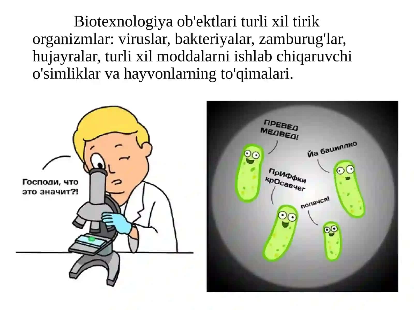 Immunitetga ta’sir etuvchi dori vosotalari 3