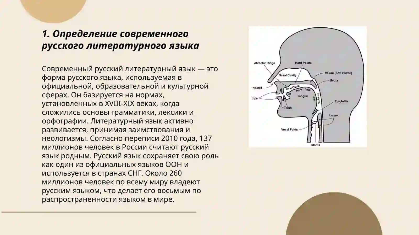 Современный русский литературный язык: предмет и три аспекта фонетики. Речевой аппарат 3
