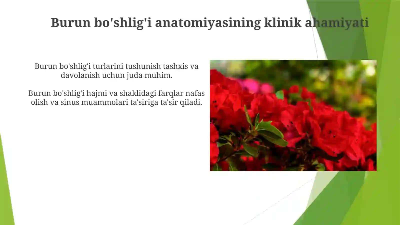 Burun bo'shlig'i anatomiyasining klinik ahamiyati 3