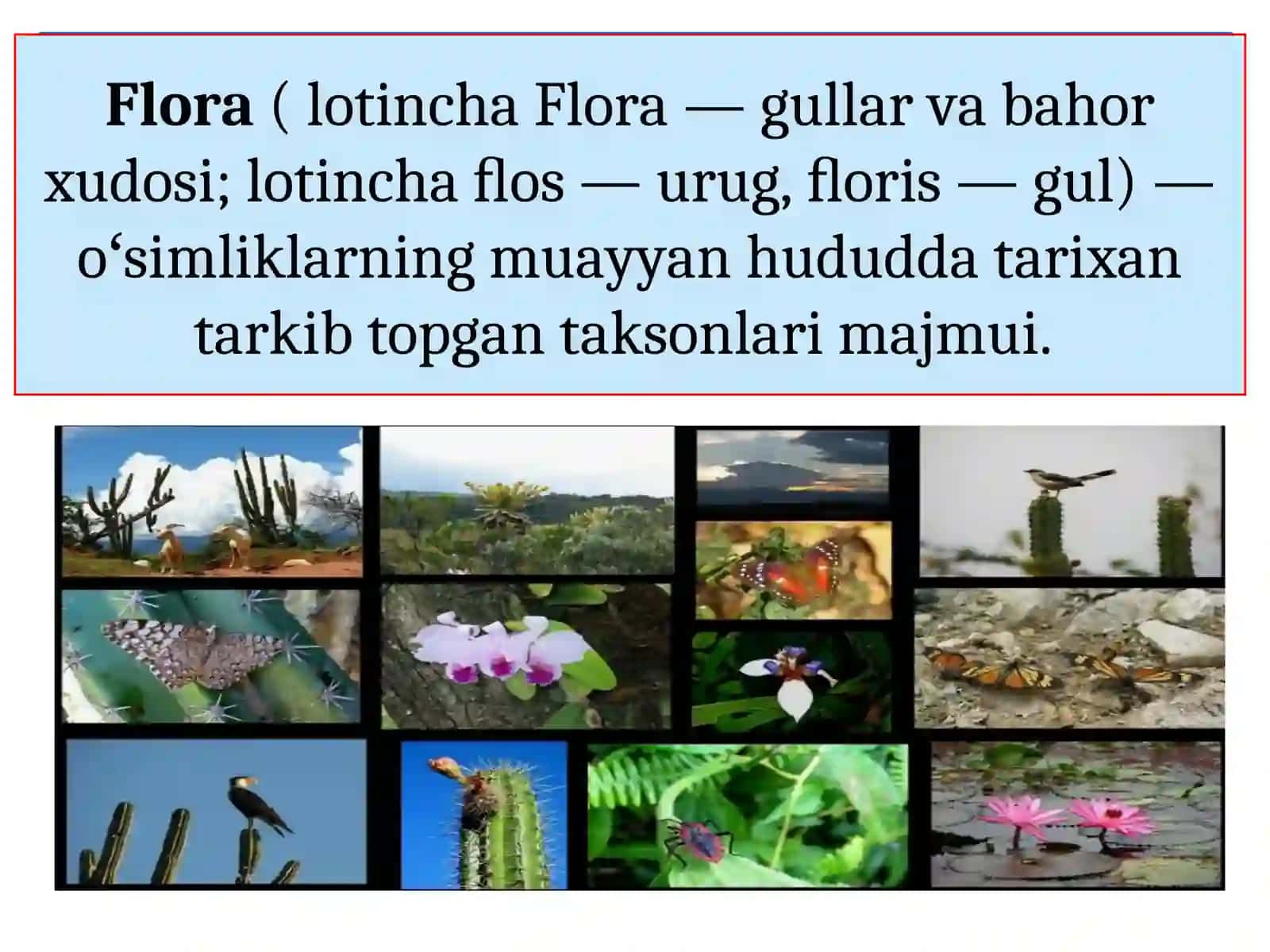 BIOGEOGRAFIYA VA EKOLOGIYANING ASOSIY TUSHUNCHALARI. ORGANIZM JAMOALARI VA ULARNINGPOPULYATSIYALARI GEOGRAFIYASI 3