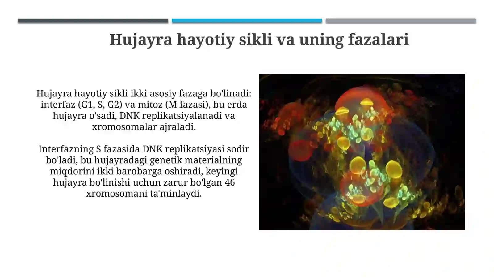 Hujayraning hayot sikli va uning turli fazalarida nurga sezgirlik 3