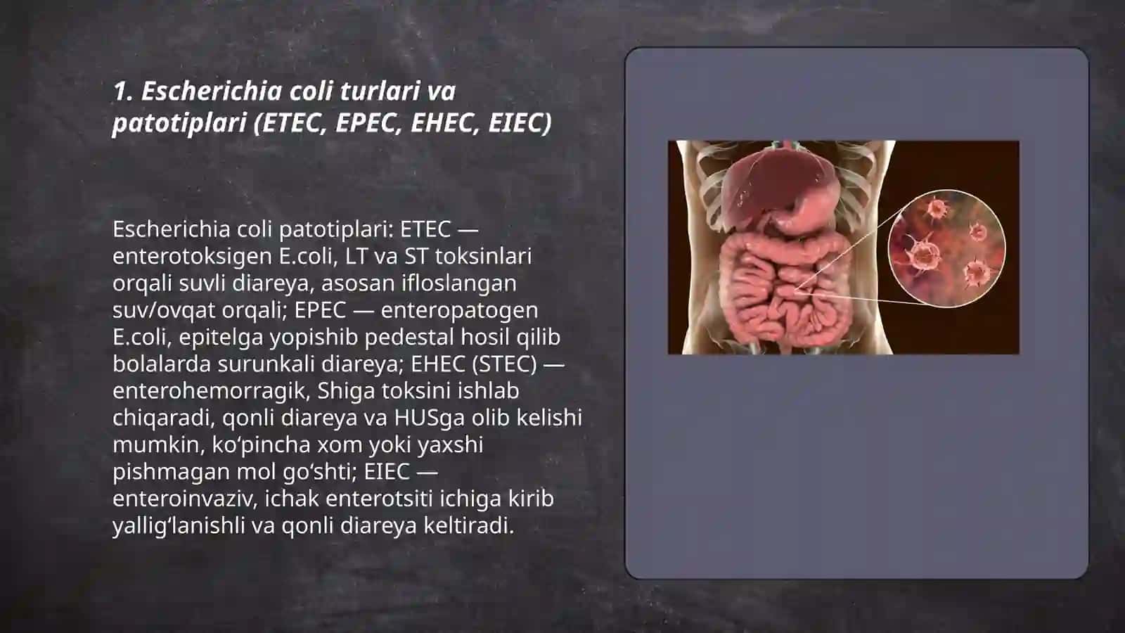 Ichak infeksiyalari qo‘zg‘atuvchilari (Esherixioz, shigellez, vabo) 3