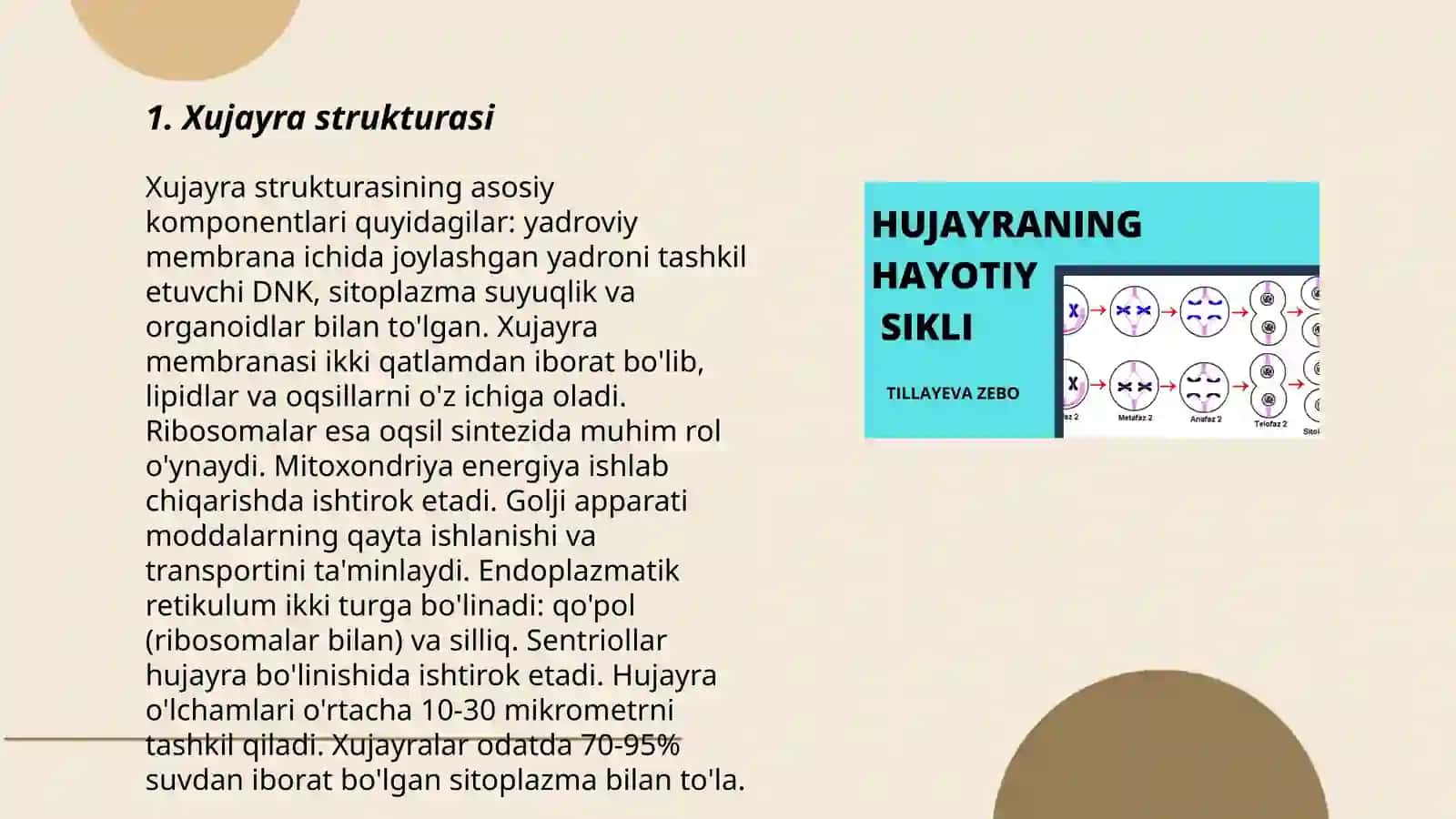 Xujayra 3