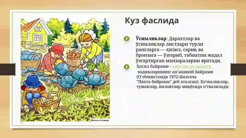 Олтин Куз 3