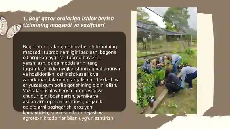 Bog' qator oralariga ishlov berish tizimi 3