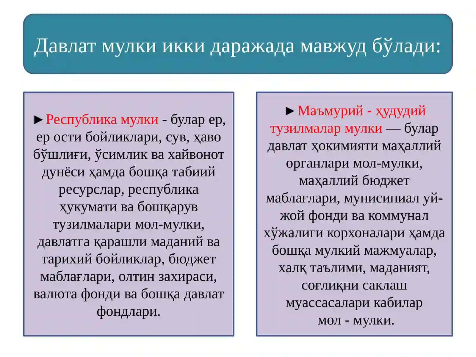 Давлат мулкиикки дара жадамавжуд бўлади 3