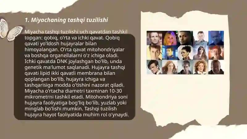 Miyachaning tuzilishi 3