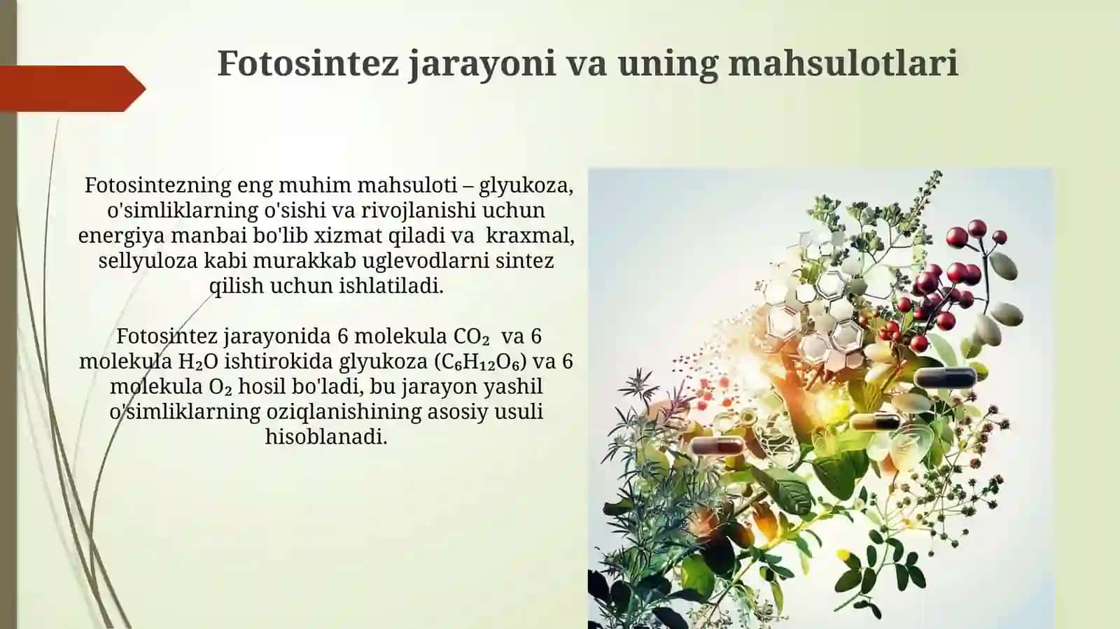 O'simliklar metabolizmi va ularning kimyoviy tarkibi 3