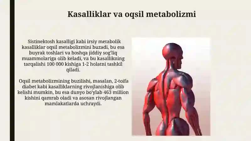 Oqsillar almashinuvi 3