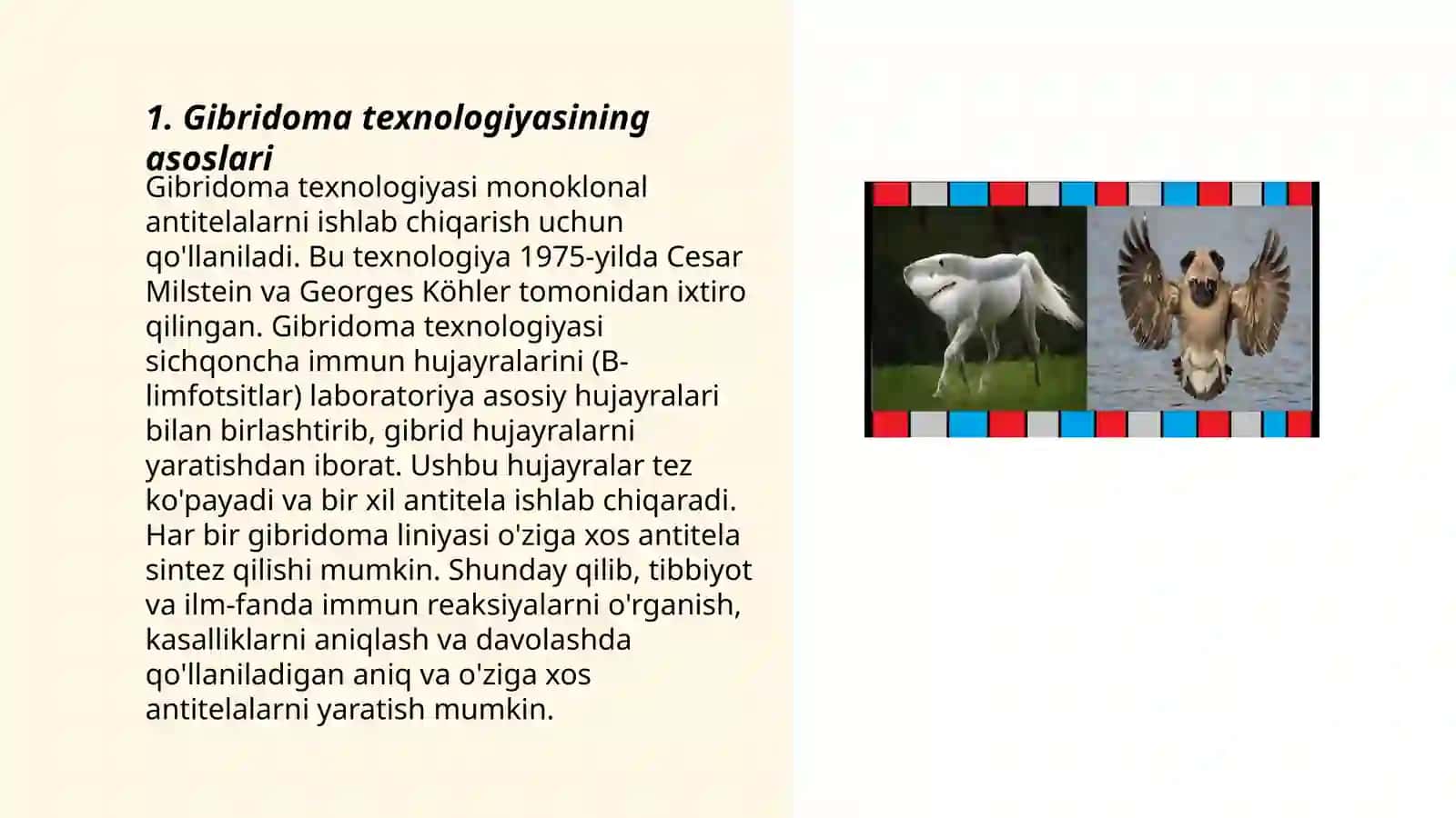 Hayvonlarda gibridomalar texnologiyasi 3