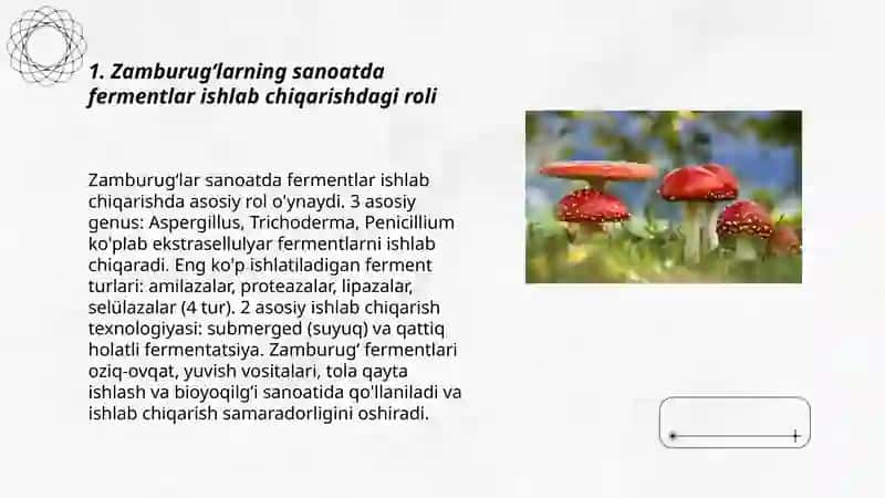 Zamburugʻlarni sanoatda va qishloq xoʻjaligidagi ahamiyati 3