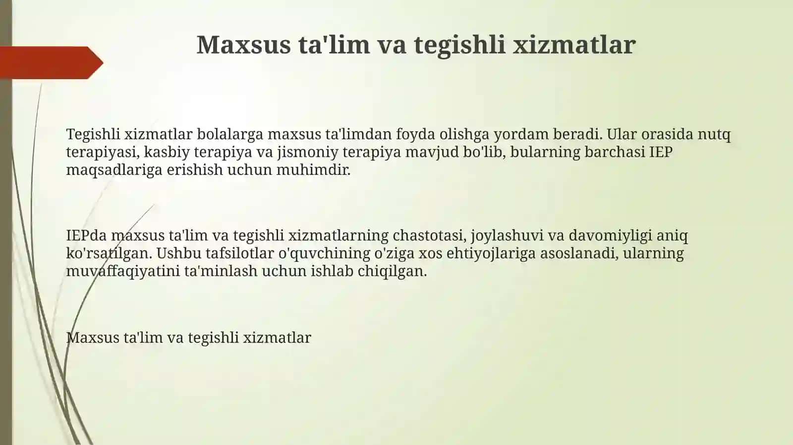 Maxsus ta'lim va tegishli xizmatlar 3