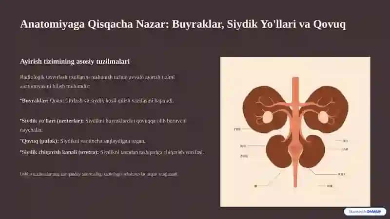 Ayirish Tizimi Radiologiyasi 3