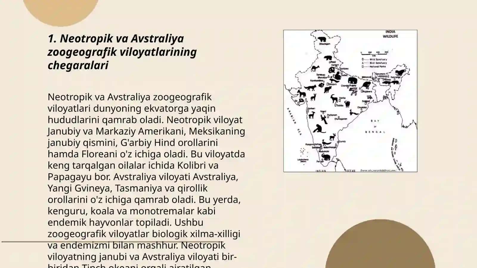 Neotropik va Avstraliya zoogeografik viloyatlari 3