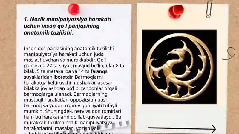 Nozik manipulation harakati bilan boʻliq holda inson qoʻl panjasining xususiyatlari. Ikki oyoqli yurish bilan bogʻliq holda inson oyogʻining xususiyatlari. 3
