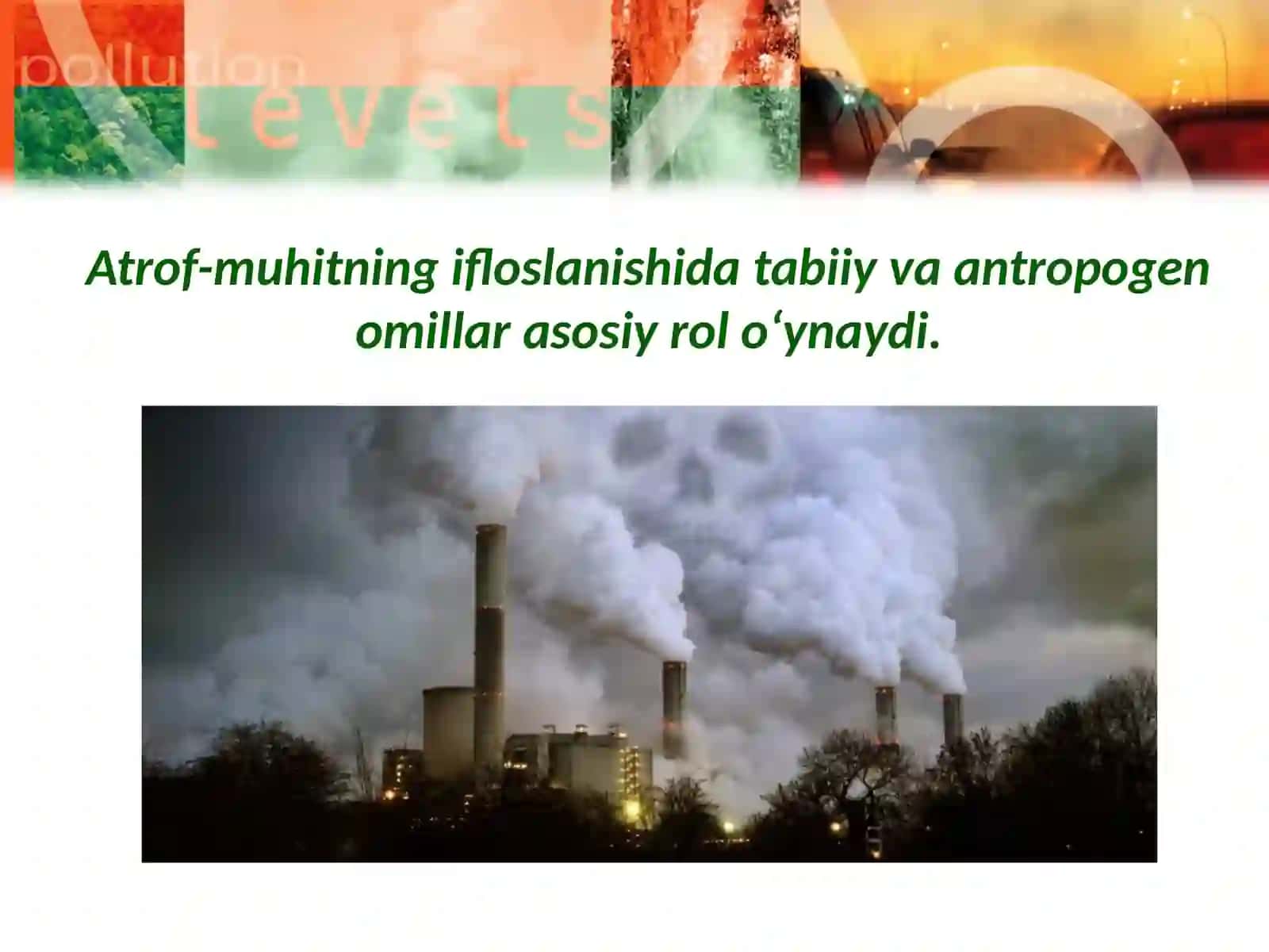 Atrof-muhitning ifloslanishi 3
