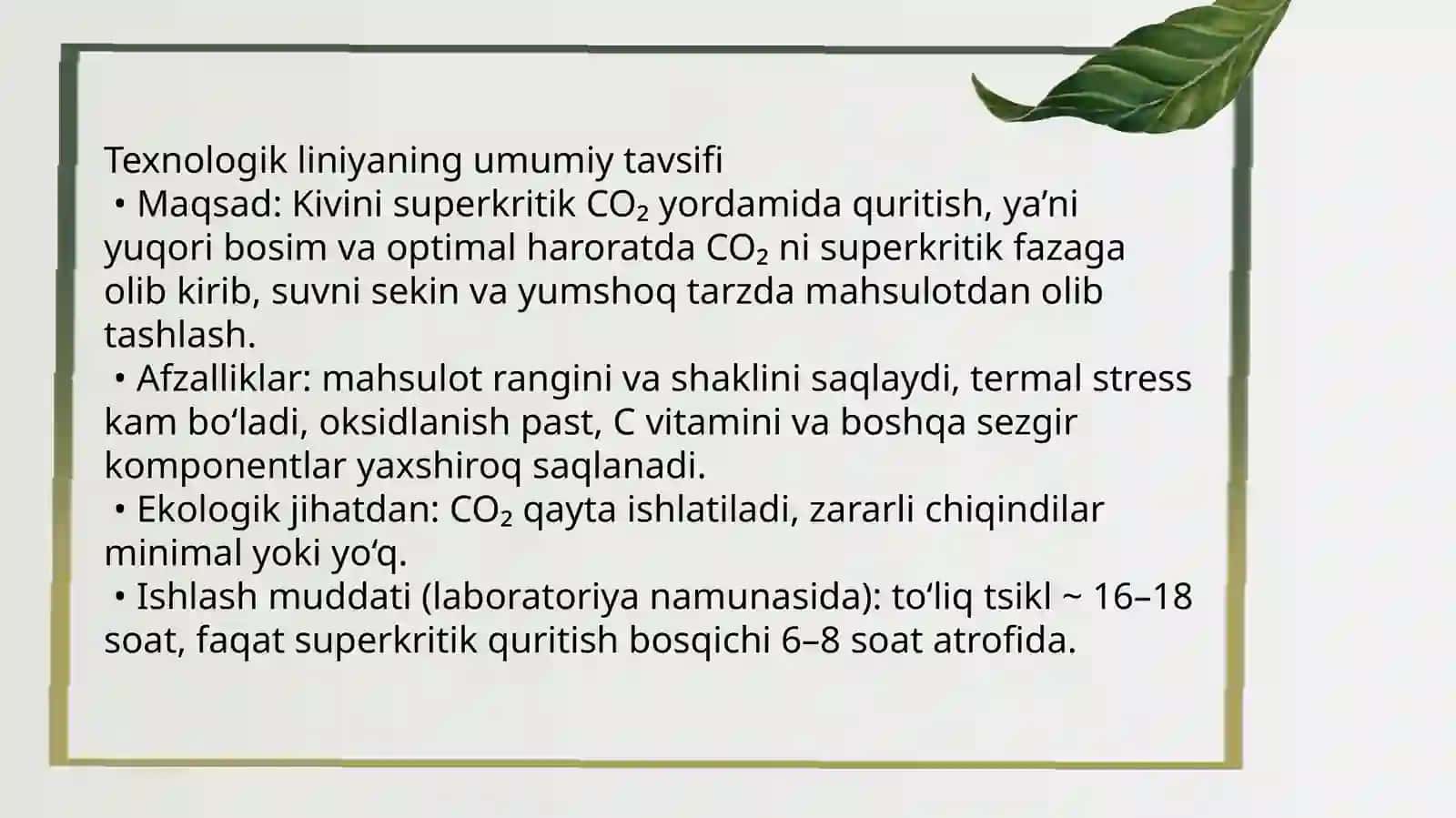 Kivini quritishning zamonaviy texnologiyalari 3