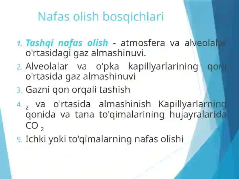 Nafas olish funktsiyasini o'rganishning patofiziologik asoslari 3