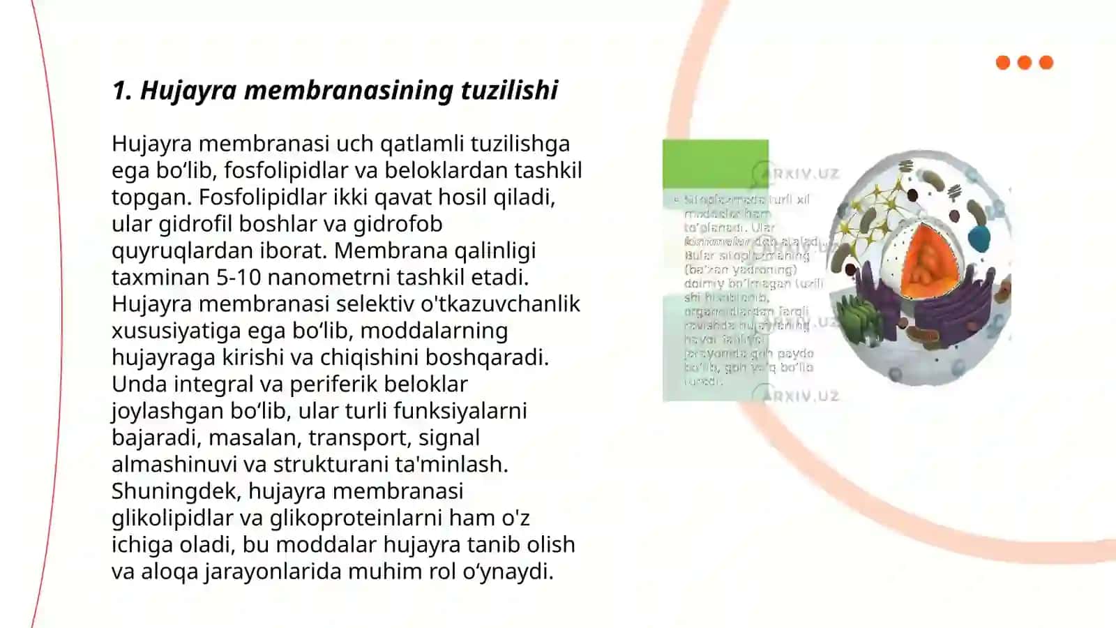 Hujayra membranasi uning nozik tuzilishi va hujayraga moddalarning kirishi 3