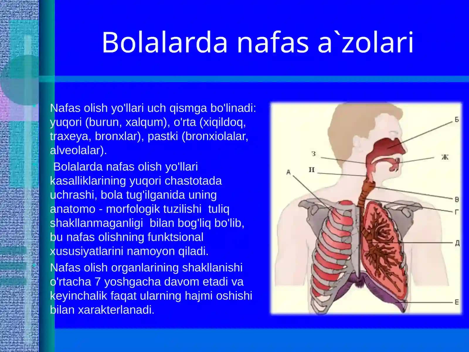Bolalarda Pnevmoniya 3