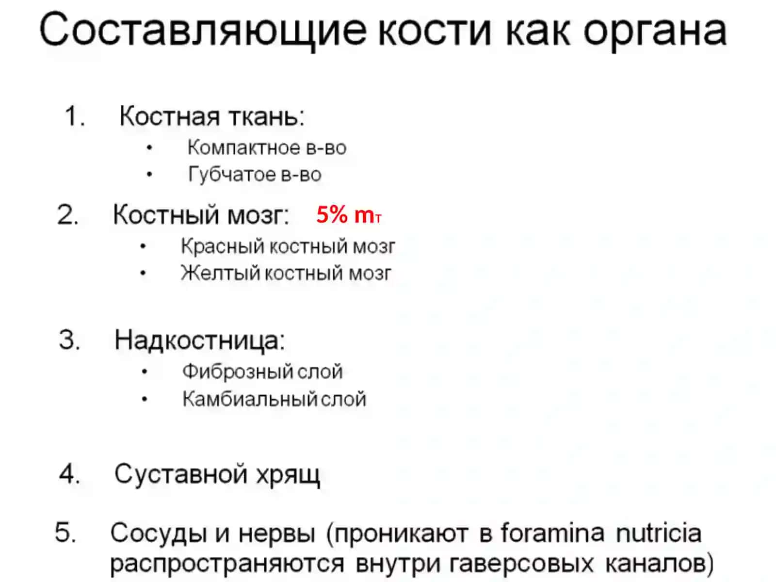 Некоторые вопросы общей остеологии 3