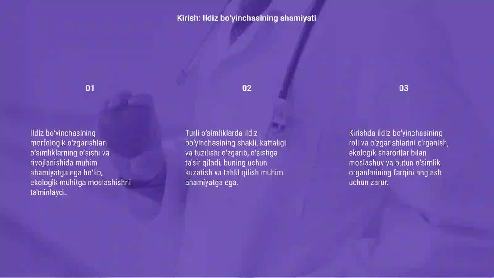 Morfologik o‘zgarishlar 3