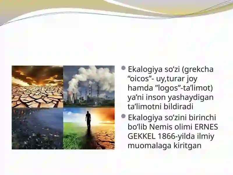 O’zbekistonekalogikpartiyasi 3