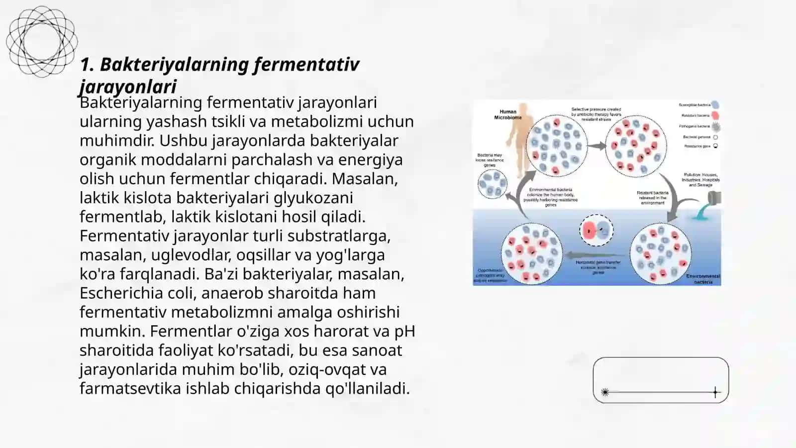 Bakteriyalarning fermentativ jarayonlari 3