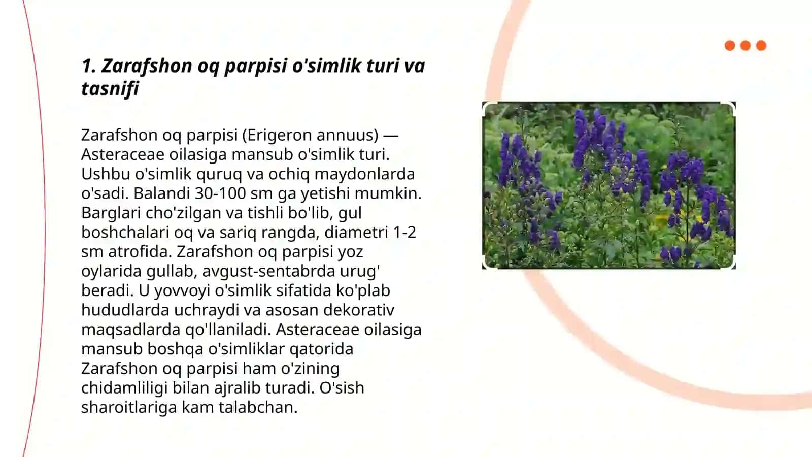 Zarafshon oq parpisi turining tarqalishi,ekologiyasi va tibbiyotda qo'llanishi 3