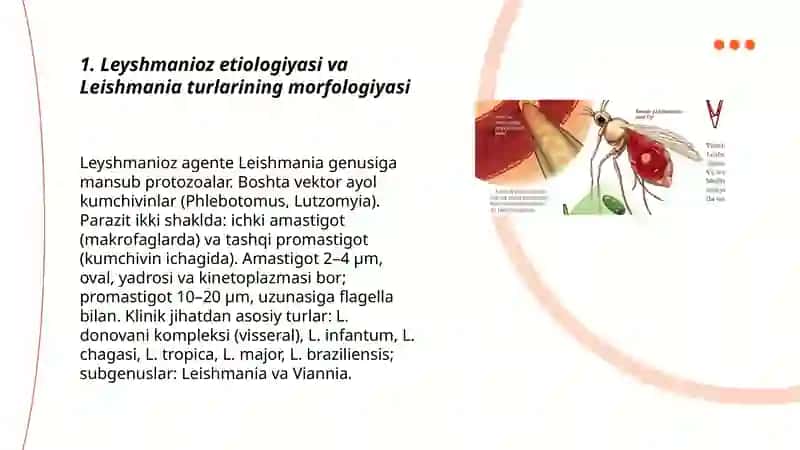 Leyshmanioz teri va visseral shakli 3