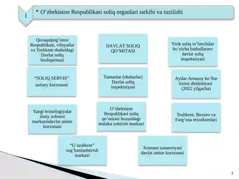 Davlat soliq qoʼmitasi raisi 3