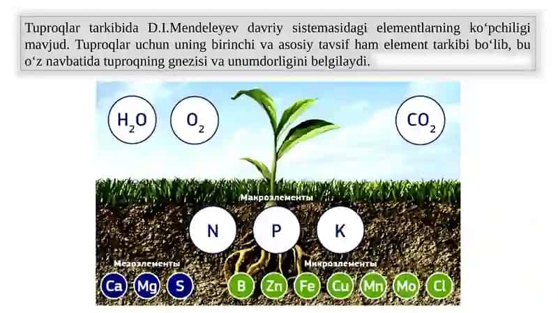 Tuproqdagi muhim elementlar tavsifi, migratsiyasi, mikro, makro, biogen va pedomorf elementlar 3