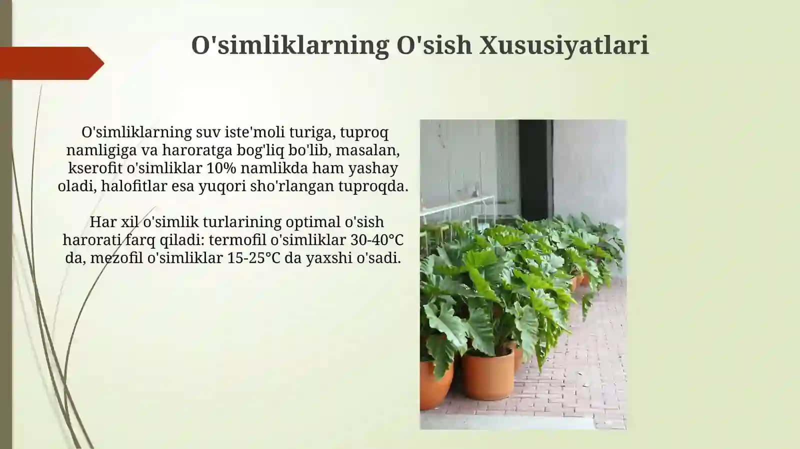 O'simliklarni turli muhit sharoitida ostirib organamiz 3