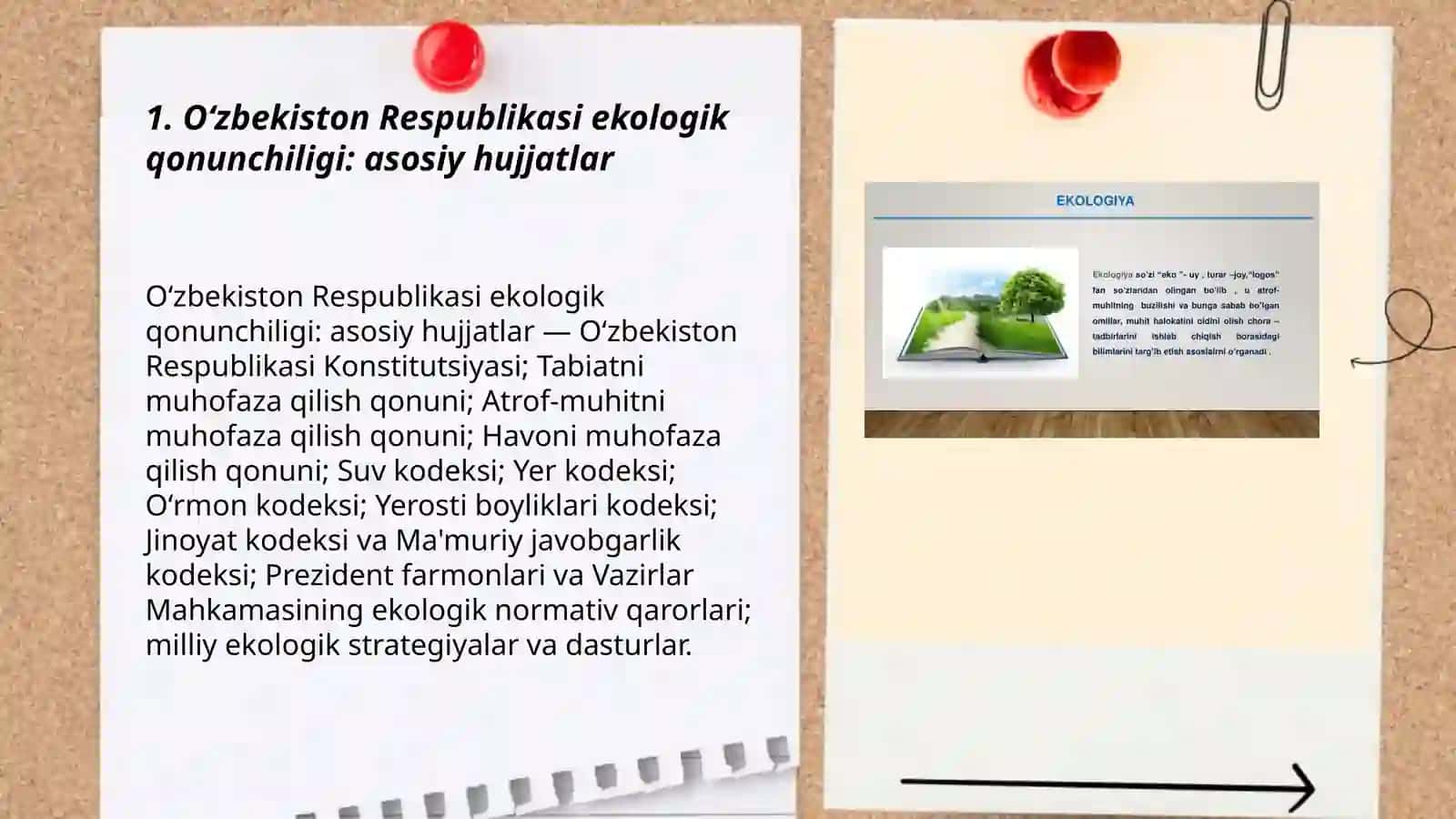Oʻzbekiston Respublikasi ekologik qonunchiligi: asosiy hujjatlar 3