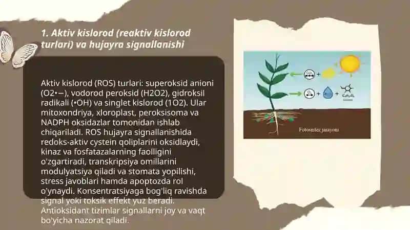 Aktiv kislarod va hujayra hayotiy jarayonidagi ahamyati 3