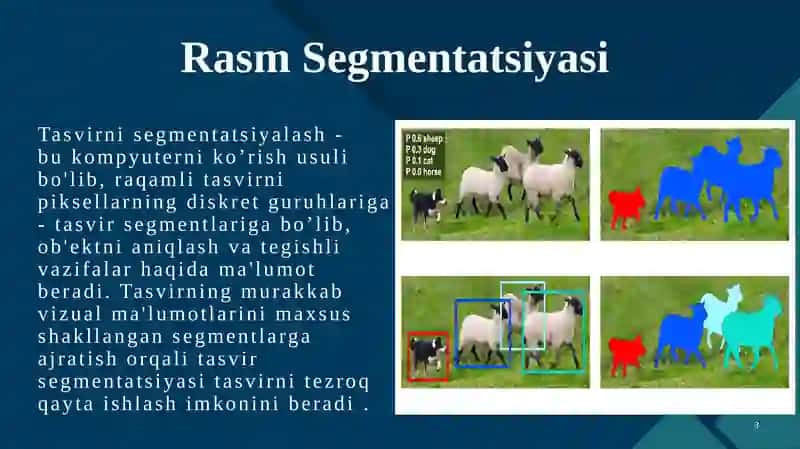 RasmSegmentatsiyasi 3