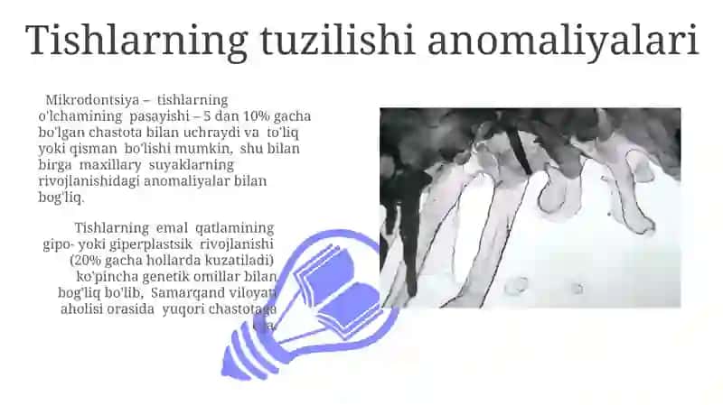 Tishlarning Rentgen Anatomiyasi 3