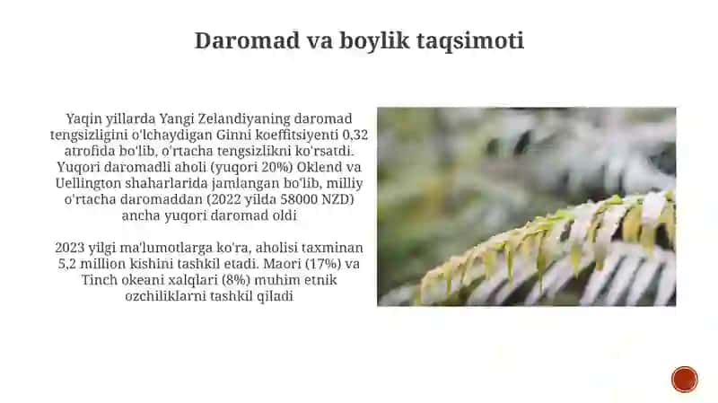 Yangi Zelandiya davlati va aholi demografiyasi 3