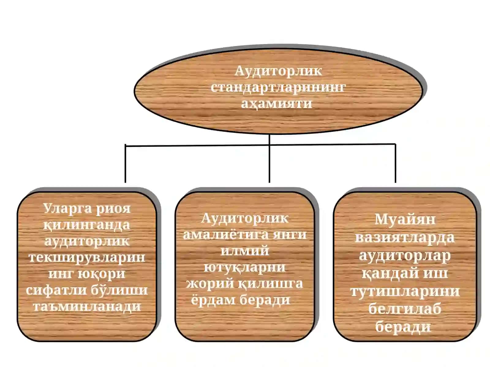 Ўзбекистон Республикасида аудиторлик фаолиятининг ҳуқуқий асослари тақдимоти 3