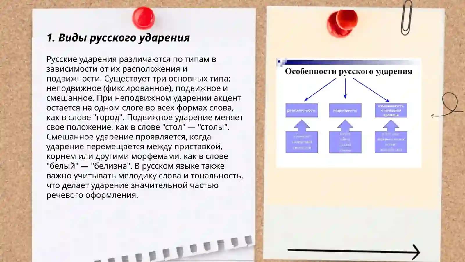 Характерные особенности русского ударения. Функции русского ударения 3