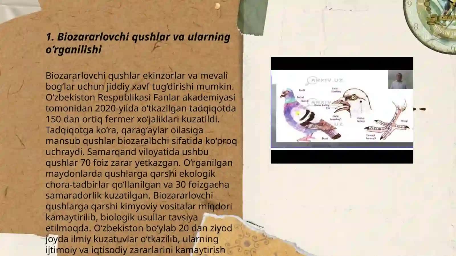 Biozararlovchi qushlar.Ózbekiston sharoitida biozararlovchi qushlarning asosiy vakillari biologik xususiyatlar 3