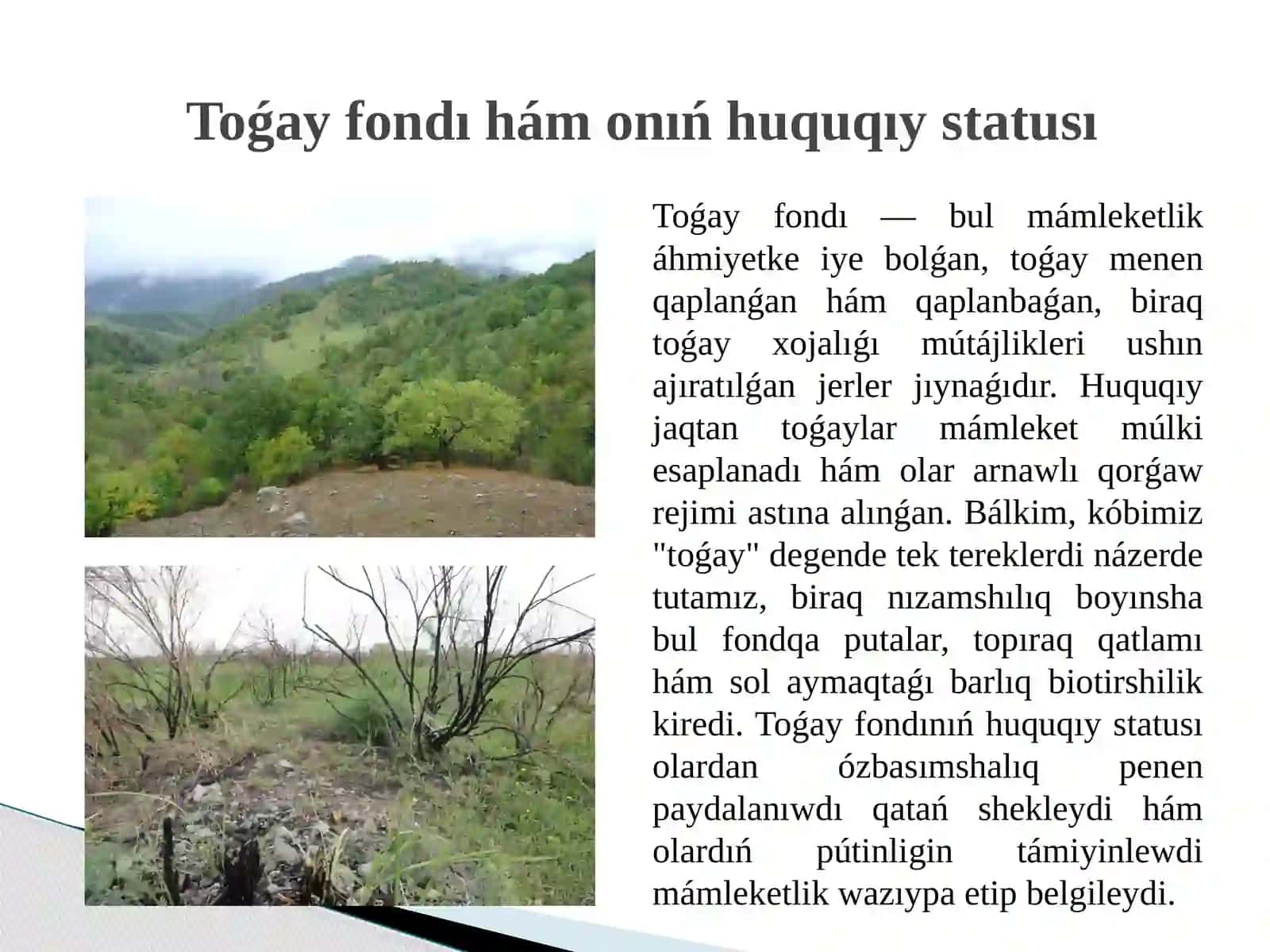 Toǵay hám ósimlik dúnyasın qorģaw hám onnan paydalanıwdıń huqiqiy tártibi 3