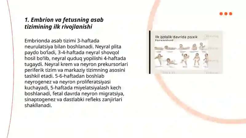 Antenifezning ilk bosqichlarida insonning psixik rivojlanishida xos xususiyatlari 3