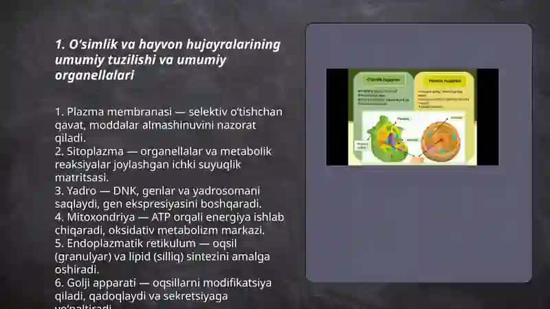 Oʻsimlik va hayvon hujayralari oʻxshashligi va farqi 3