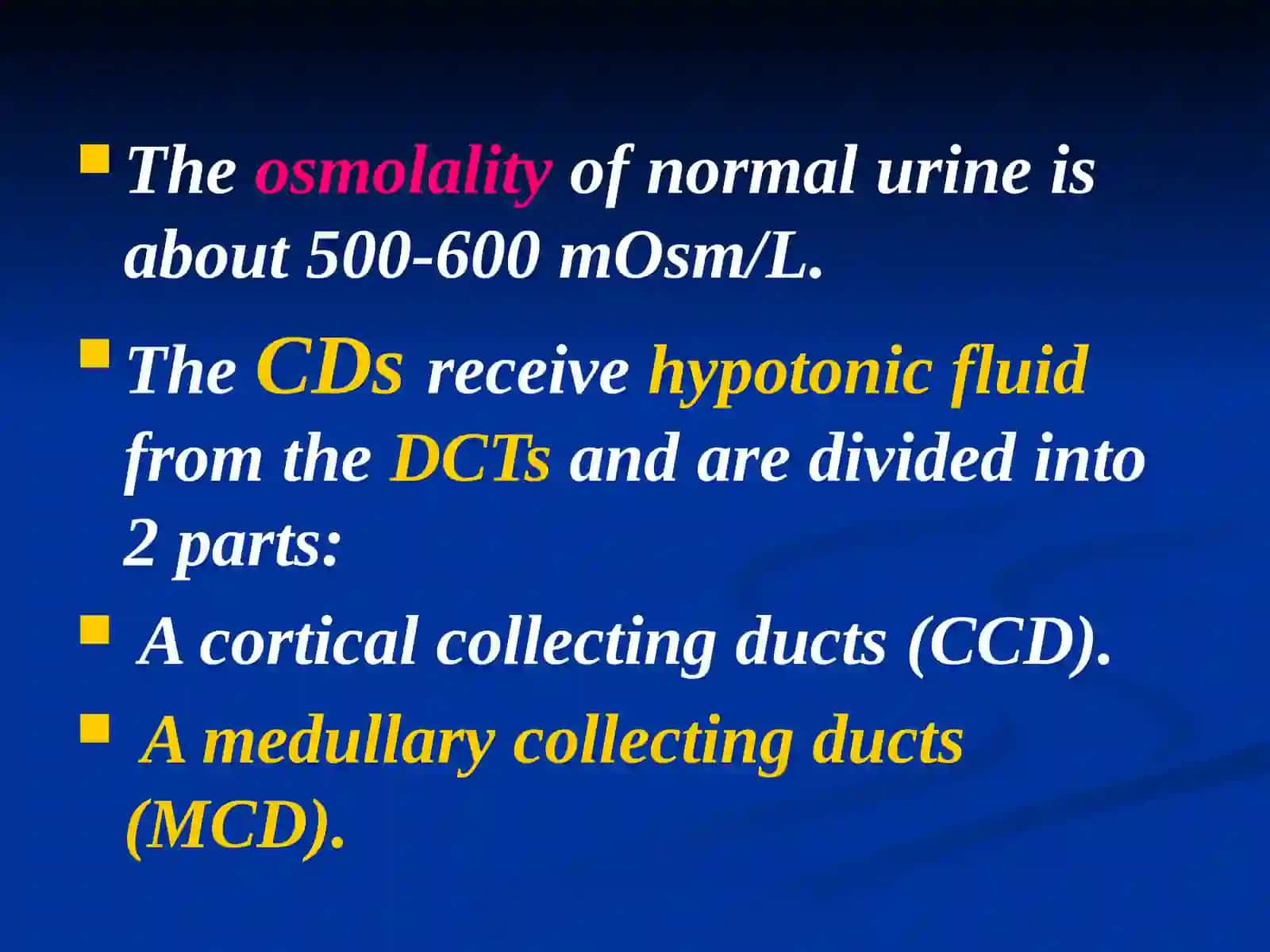 Collecting Ducts (CDs) 3