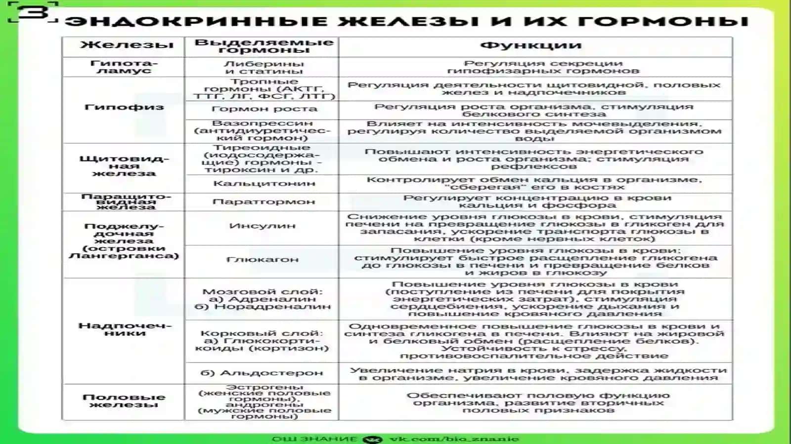 Gumoral boshqarilish 3