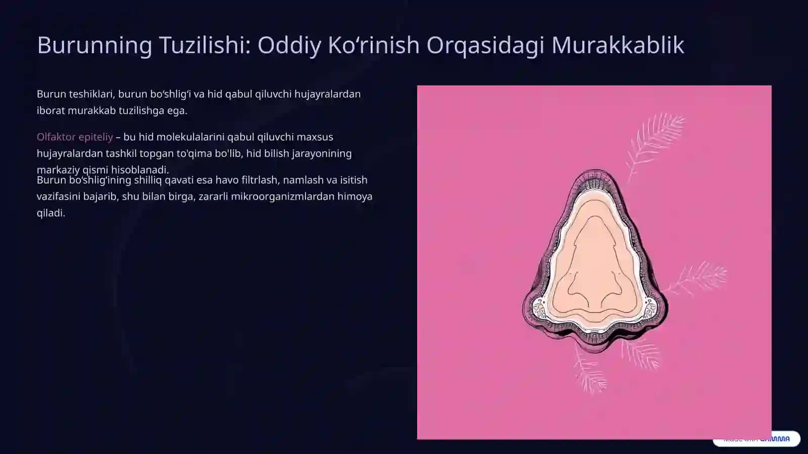Hid Bilish A'zosi: Burun va Uning Sirli Dunyoqarashi 3